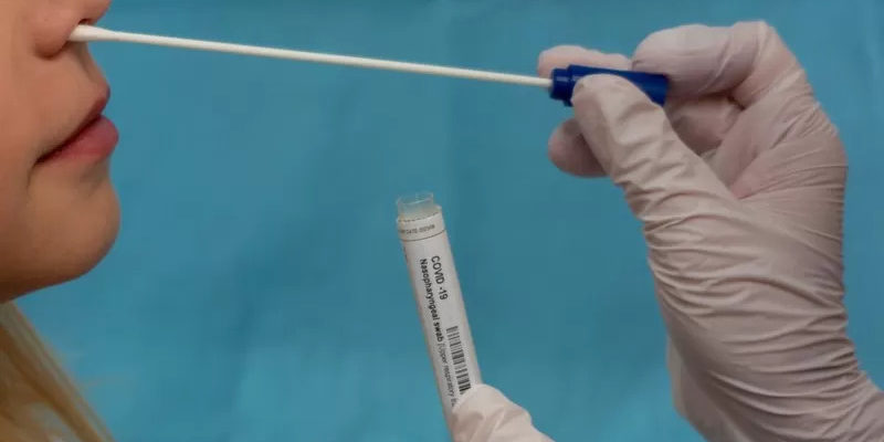 teste rapido cotonete covid antigeno nasal