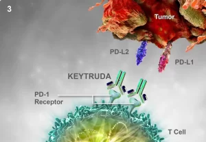 acao do keytruda pembrolizumabe nas celulas cancerigenas