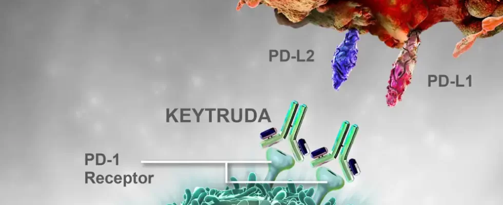 acao do keytruda pembrolizumabe nas celulas cancerigenas