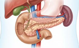 pancreas recorte farmacia medicom