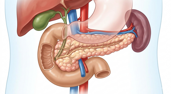 pancreas recorte farmacia medicom